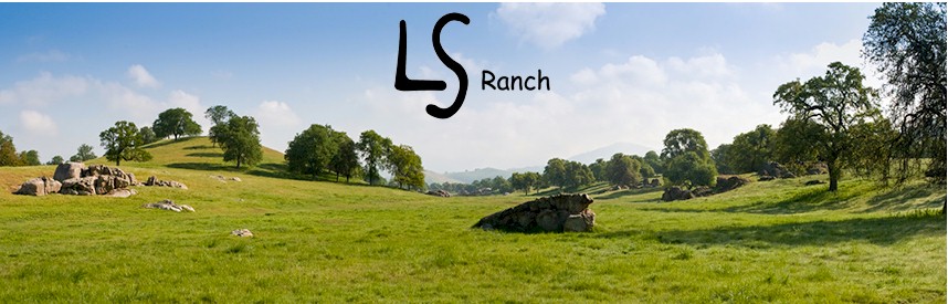 LS Ranch in the Sierras